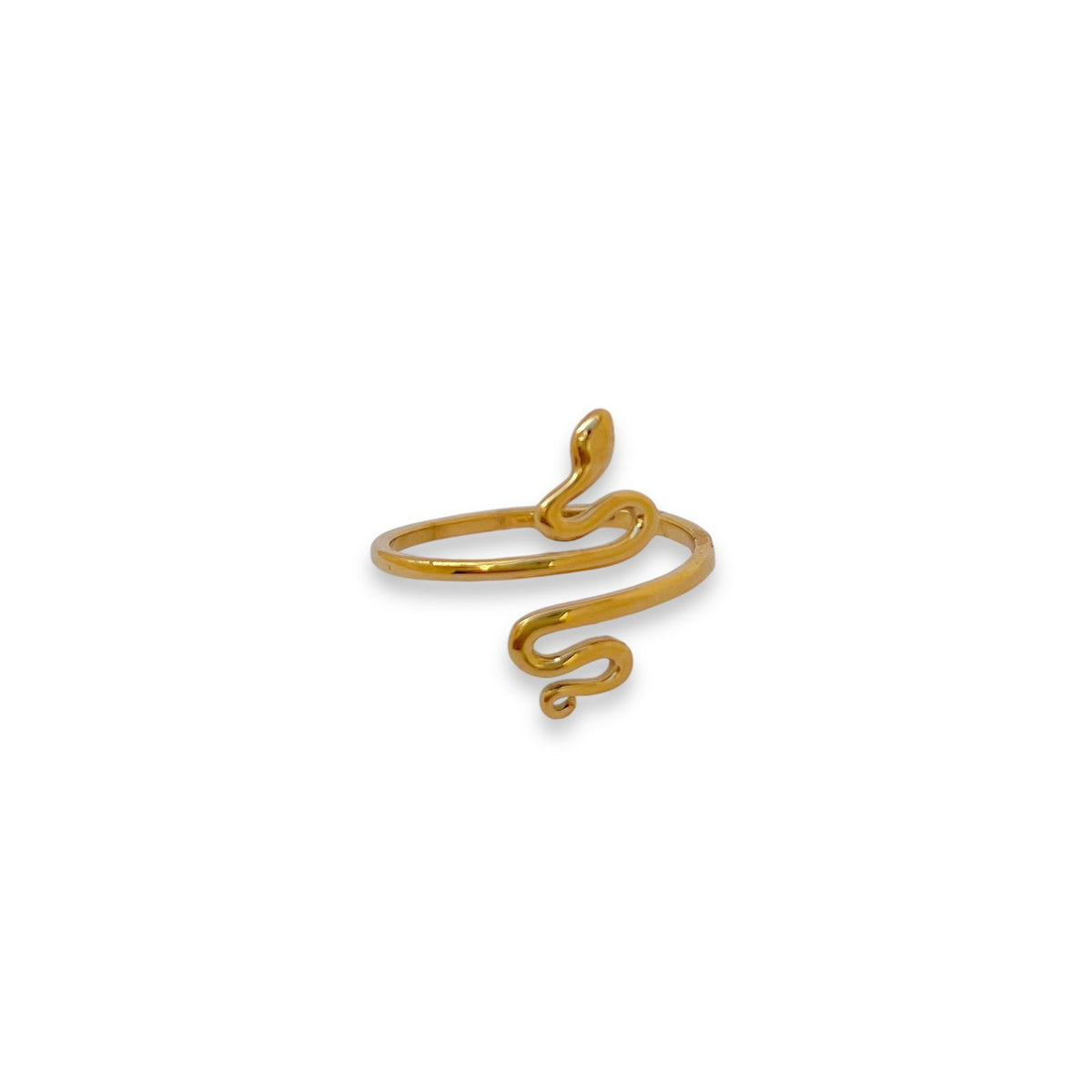 Anillo Snake