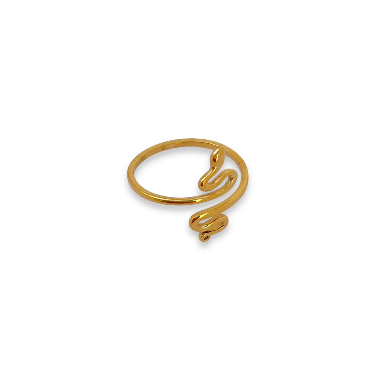 Anillo Snake